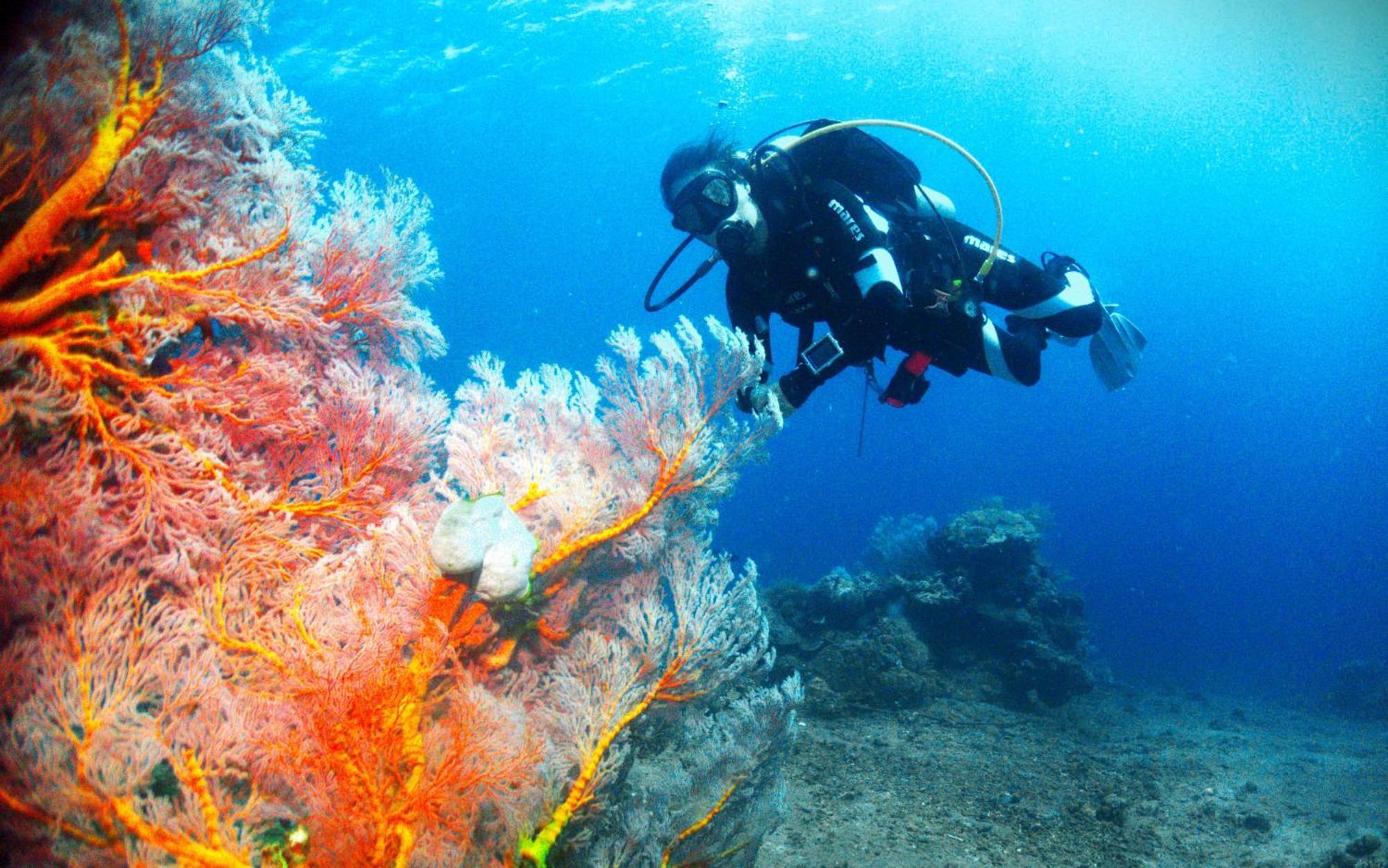 Kura Kura Divers Lodge Amed Buitenkant foto